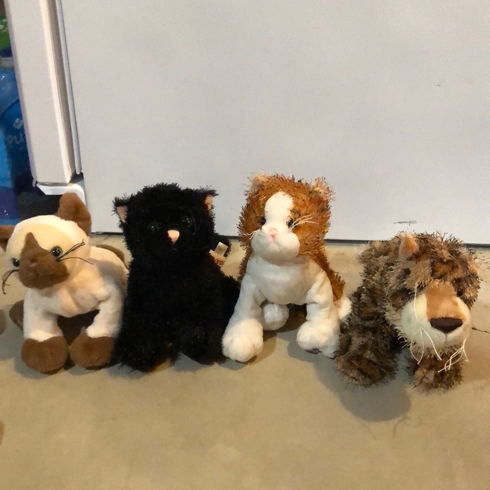 Webkinz- cats! $20 for all.